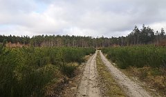 341_p20_IMG_20220226_141415