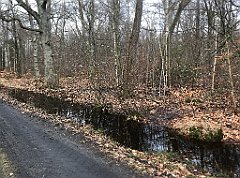 365_iP_220226_IMG_4098