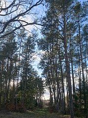 381_iP_220226_IMG_4108