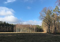 382_iP_220226_IMG_4109