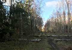 390_iP_220226_IMG_4117