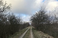 413_iP_220226_IMG_4130