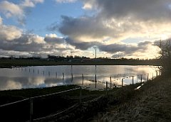 423_iP_220226_IMG_4140