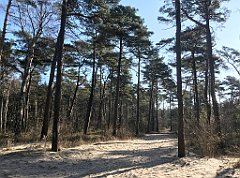 060_iP_220301_IMG_4208