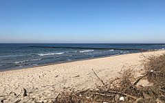 257_iP_220301_IMG_4225