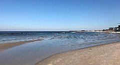 291_iP_220301_IMG_4229