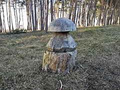 520_p20_IMG_20220301_155836