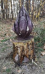 526_p20_IMG_20220301_161020