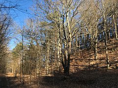 035_iP_220313_IMG_4517