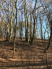 039_iP_220313_IMG_4519