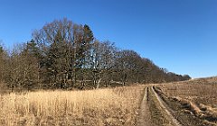 062_iP_220313_IMG_4534