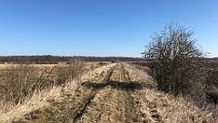 162_iP_220313_IMG_4569