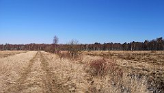 178_p20_IMG_20220313_104208