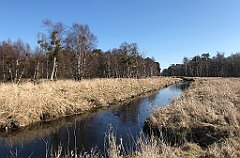 179_iP_220313_IMG_4576