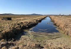 210_iP_220313_IMG_4590