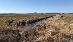 227_iP_220313_IMG_4593