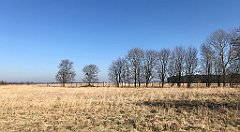 310_iP_220313_IMG_4618