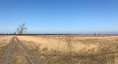 362_iP_220313_IMG_4640