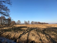 497_iP_220313_IMG_4678