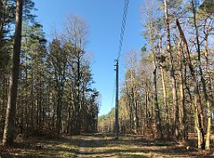 035_iP_220320_IMG_4719