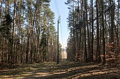 036_iP_220320_IMG_4721