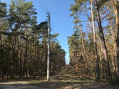 049_iP_220320_IMG_4722