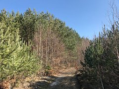 073_iP_220320_IMG_4732