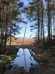 075_iP_220320_IMG_4734