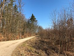 088_iP_220320_IMG_4740