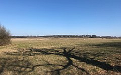 258_iP_220320_IMG_4770