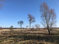 307_iP_220320_IMG_4786