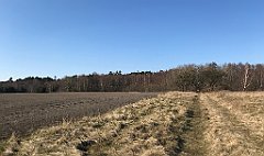 324_iP_220320_IMG_4794