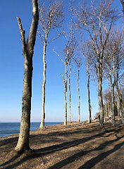 401_iP_220320_IMG_4807