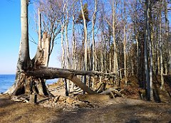 422_p20_IMG_20220320_155044