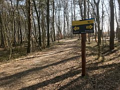 232_iP_220325_IMG_4844