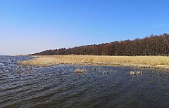 254_p20_IMG_20220325_112046