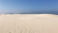 335_iP_220325_IMG_4865