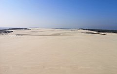 350_p20_IMG_20220325_122858