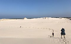 385_iP_220325_IMG_4899