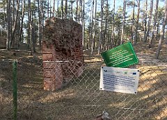 538_iP_220325_IMG_4935