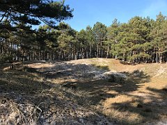 556_iP_220325_IMG_4959