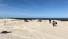 289_iP_220412_IMG_5015