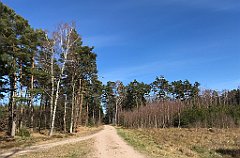 008_iP_220416_IMG_5069