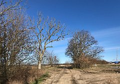 034_iP_220416_IMG_5090