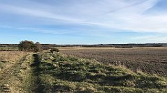 142_iP_220416_IMG_5124