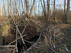 146_iP_220416_IMG_5129