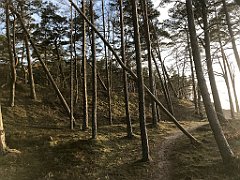 170_iP_220416_IMG_5142