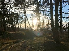 191_iP_220416_IMG_5157