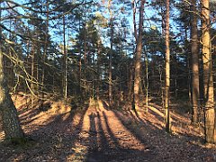 192_iP_220416_IMG_5159