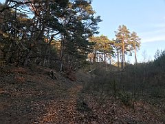 201_iP_220416_IMG_5163